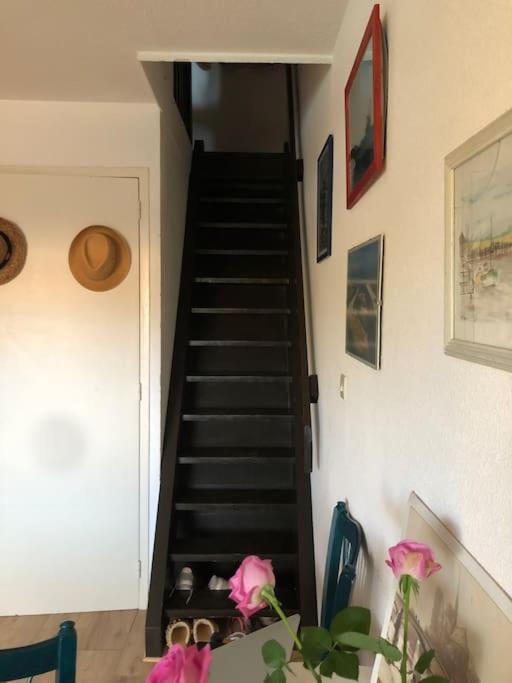 Apartament Le Marlin Du Phare Du Ferret Lège-Cap-Ferret Zewnętrze zdjęcie